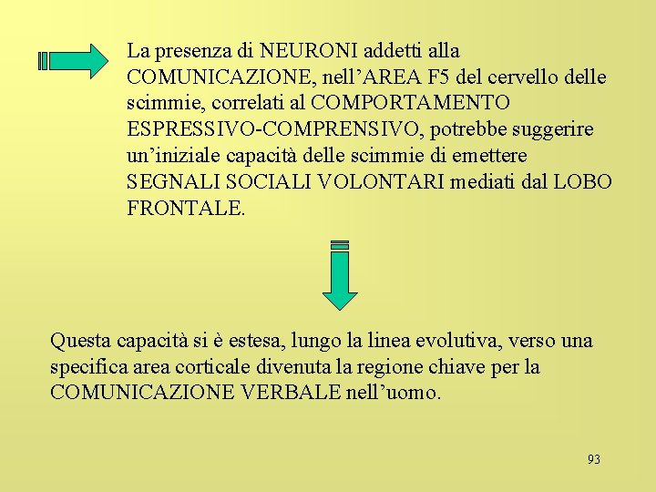 La presenza di NEURONI addetti alla COMUNICAZIONE, nell’AREA F 5 del cervello delle scimmie,