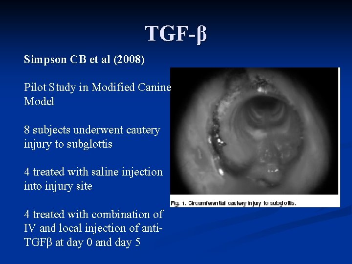 TGF-β Simpson CB et al (2008) Pilot Study in Modified Canine Model 8 subjects