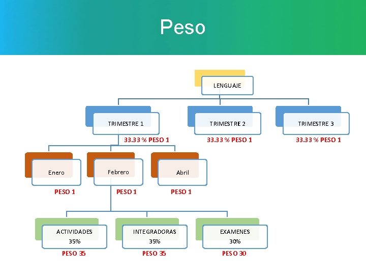 Peso LENGUAJE TRIMESTRE 1 TRIMESTRE 2 33. 33 % PESO 1 Enero PESO 1