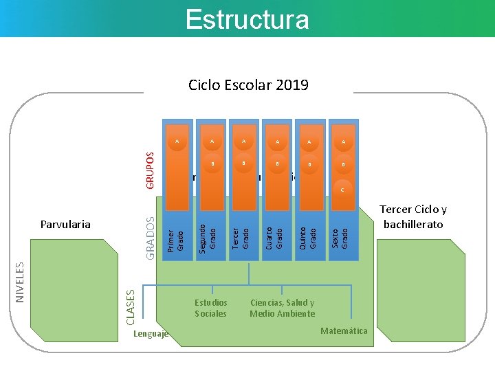 Estructura Ciclo Escolar 2019 GRUPOS A A B B B Lenguaje Estudios Sociales Sexto