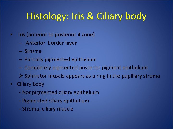 Histology: Iris & Ciliary body • Iris (anterior to posterior 4 zone) – Anterior Histology: Iris & Ciliary body • Iris (anterior to posterior 4 zone) – Anterior