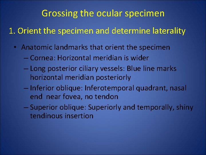 Grossing the ocular specimen 1. Orient the specimen and determine laterality • Anatomic landmarks Grossing the ocular specimen 1. Orient the specimen and determine laterality • Anatomic landmarks