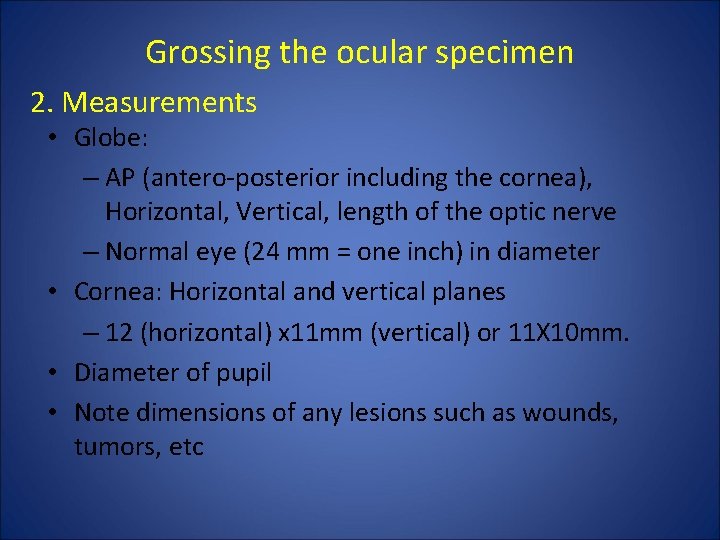 Grossing the ocular specimen 2. Measurements • Globe: – AP (antero-posterior including the cornea), Grossing the ocular specimen 2. Measurements • Globe: – AP (antero-posterior including the cornea),