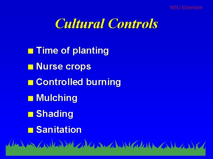 MSU Extension Cultural Controls n Time of planting n Nurse crops n Controlled burning