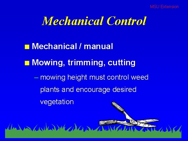 MSU Extension Mechanical Control n Mechanical / manual n Mowing, trimming, cutting – mowing