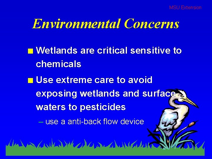 MSU Extension Environmental Concerns n Wetlands are critical sensitive to chemicals n Use extreme