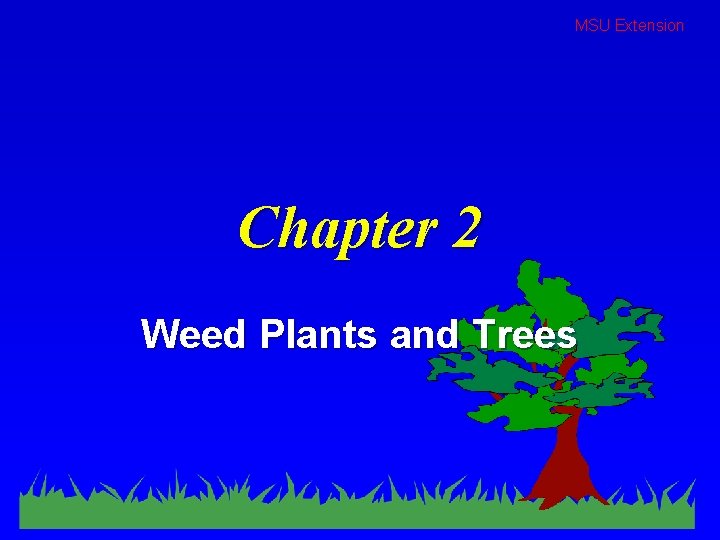 MSU Extension Chapter 2 Weed Plants and Trees 