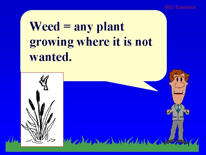 MSU Extension Weed = any plant growing where it is not wanted. 