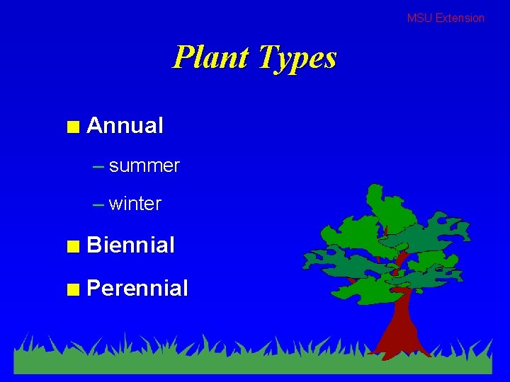 MSU Extension Plant Types n Annual – summer – winter n Biennial n Perennial