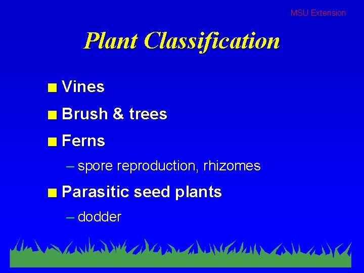 MSU Extension Plant Classification n Vines n Brush & trees n Ferns – spore