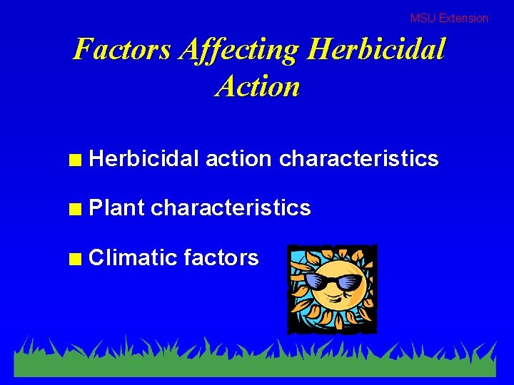 MSU Extension Factors Affecting Herbicidal Action n Herbicidal action characteristics n Plant characteristics n