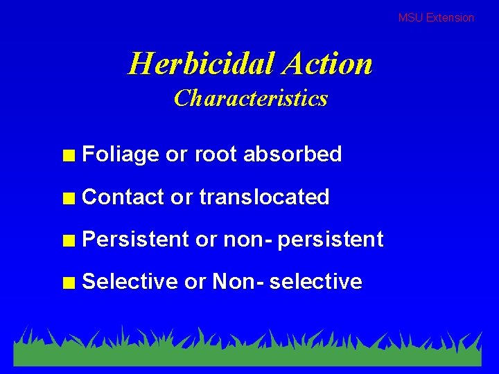 MSU Extension Herbicidal Action Characteristics n Foliage or root absorbed n Contact or translocated
