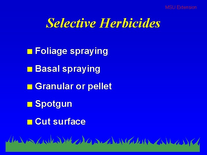 MSU Extension Selective Herbicides n Foliage spraying n Basal spraying n Granular or pellet