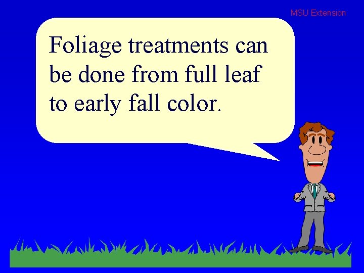 MSU Extension Foliage treatments can be done from full leaf to early fall color.