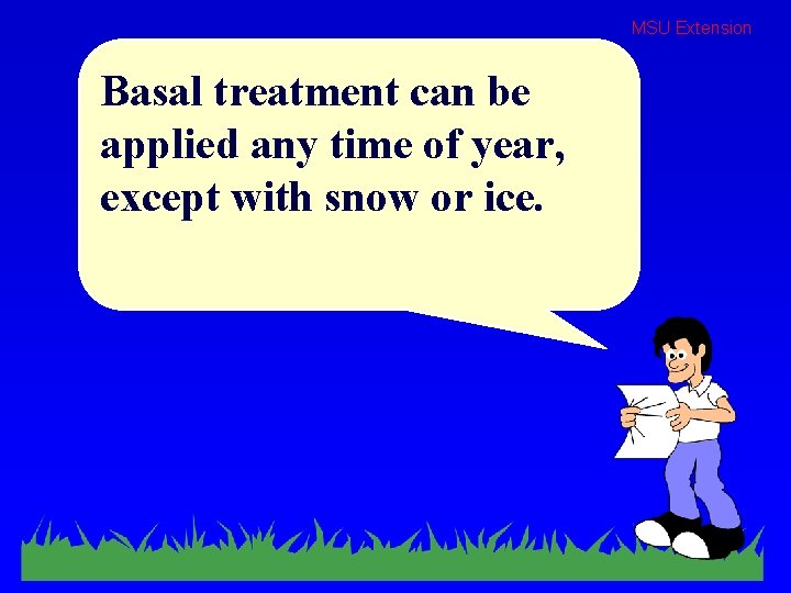 MSU Extension Basal treatment can be applied any time of year, except with snow