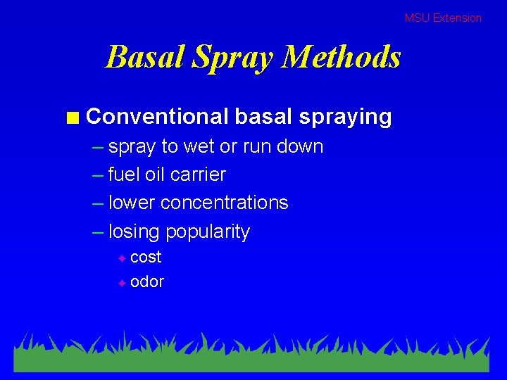 MSU Extension Basal Spray Methods n Conventional basal spraying – spray to wet or
