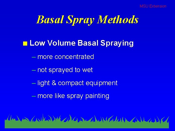 MSU Extension Basal Spray Methods n Low Volume Basal Spraying – more concentrated –