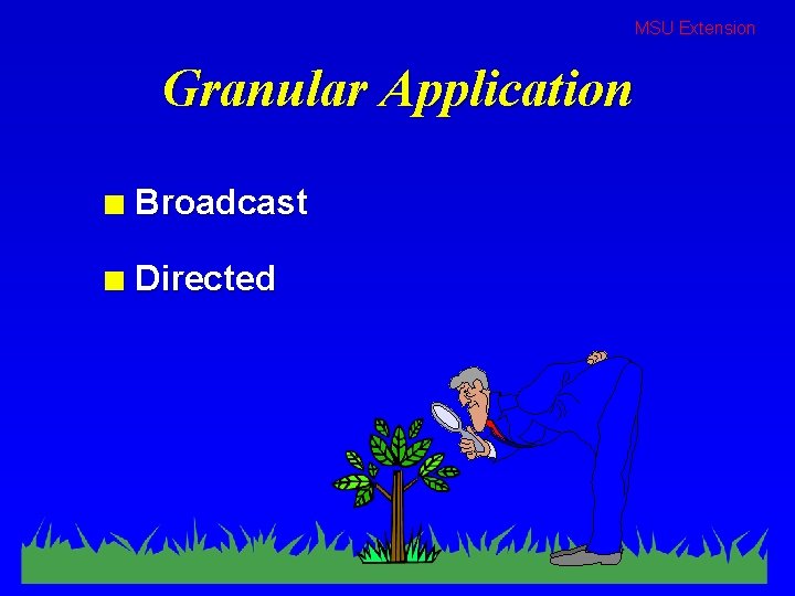 MSU Extension Granular Application n Broadcast n Directed 