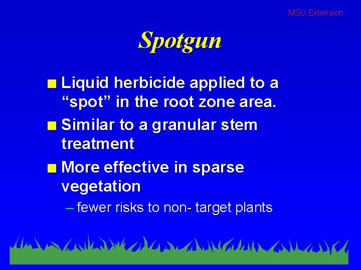 MSU Extension Spotgun Liquid herbicide applied to a “spot” in the root zone area.