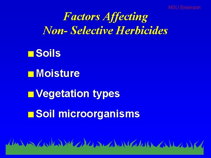 Factors Affecting Non- Selective Herbicides n Soils n Moisture n Vegetation n Soil types