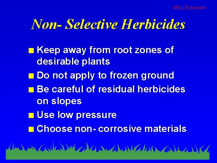 MSU Extension Non- Selective Herbicides Keep away from root zones of desirable plants n