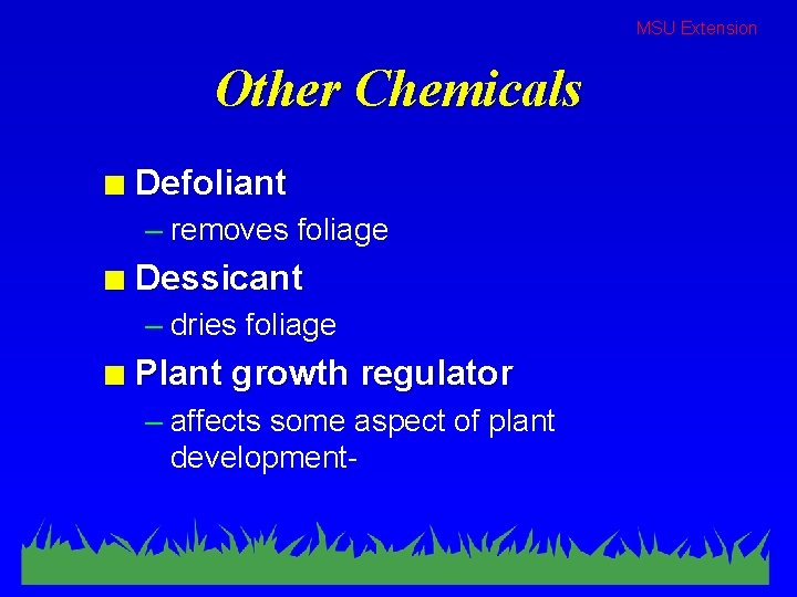 MSU Extension Other Chemicals n Defoliant – removes foliage n Dessicant – dries foliage