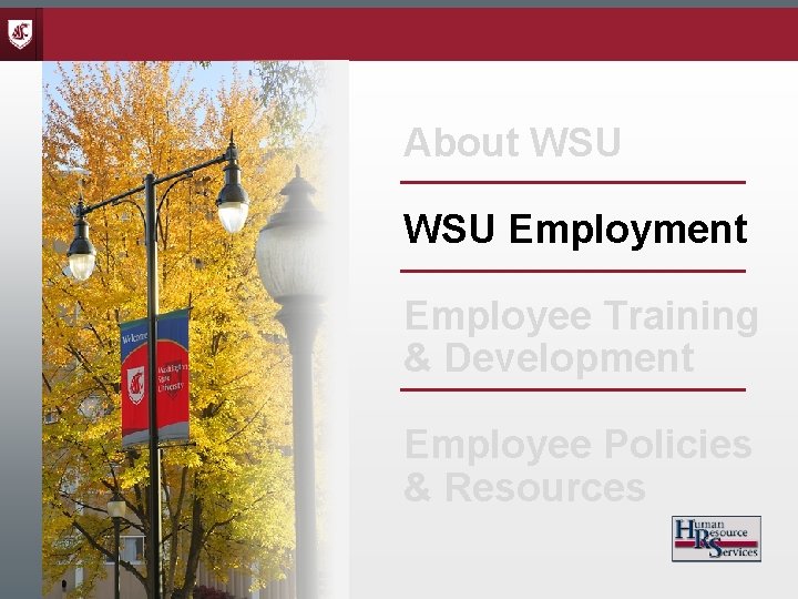 About WSU Employment Employee Training & Development Employee Policies & Resources 