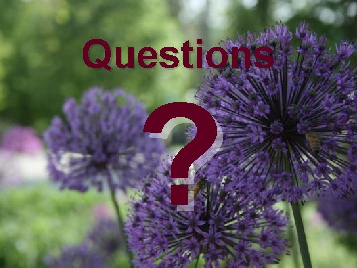 Questions ? 