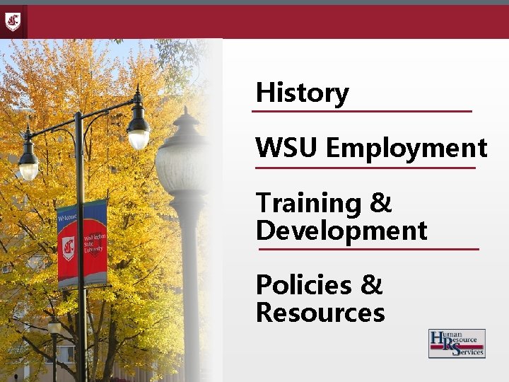 History WSU Employment Training & Development Policies & Resources 