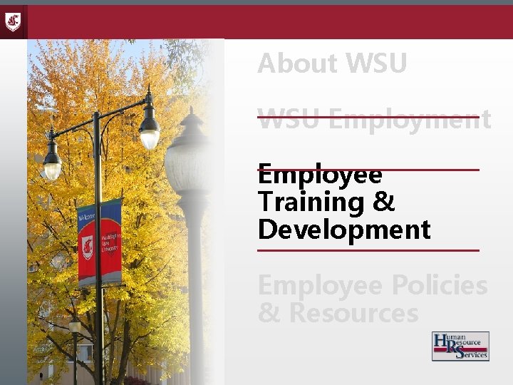 About WSU Employment Employee Training & Development Employee Policies & Resources 