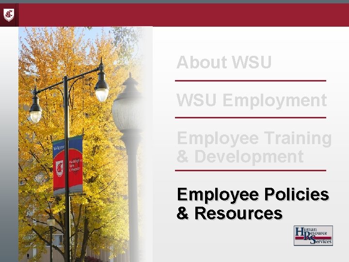 About WSU Employment Employee Training & Development Employee Policies & Resources 