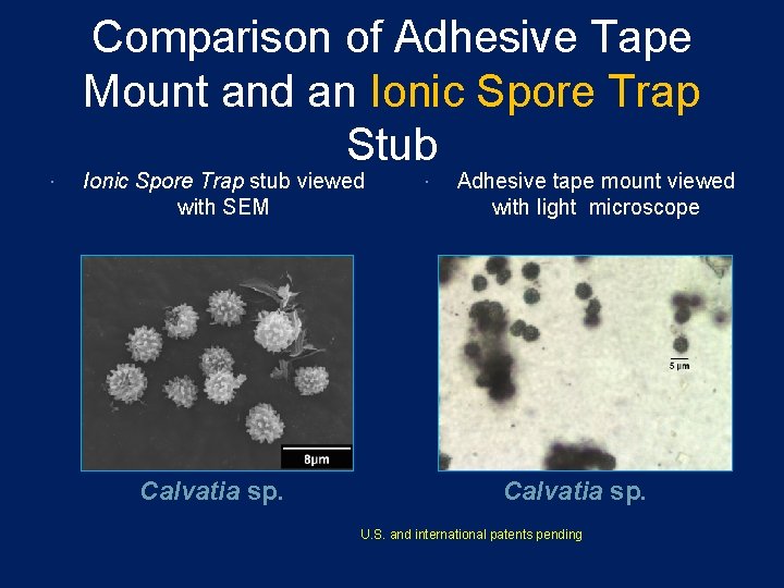 Comparison of Adhesive Tape Mount and an Ionic Spore Trap Stub Ionic Spore Trap