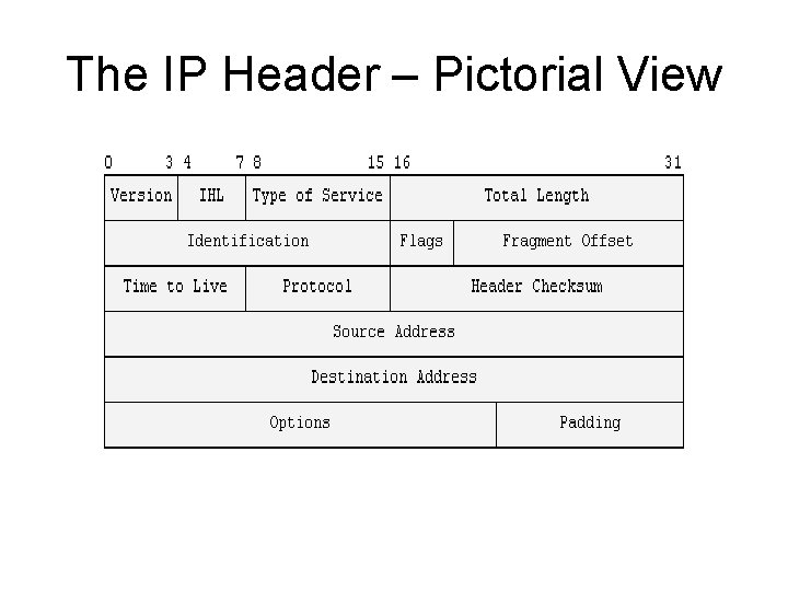 The IP Header – Pictorial View 