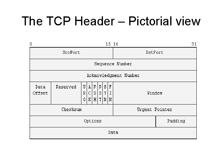 The TCP Header – Pictorial view 