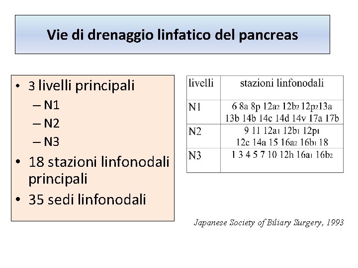 Vie di drenaggio linfatico del pancreas • 3 livelli principali – N 1 – Vie di drenaggio linfatico del pancreas • 3 livelli principali – N 1 –