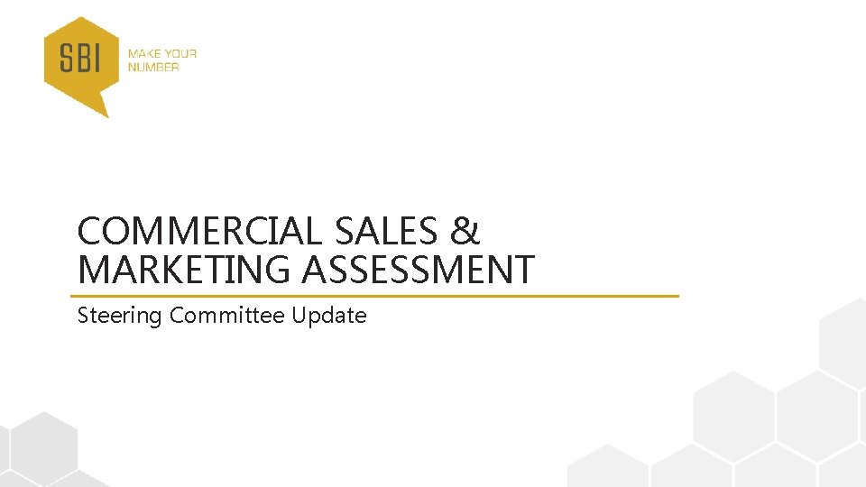 COMMERCIAL SALES & MARKETING ASSESSMENT Steering Committee Update 12/2/2020 SBI Proprietary & Confidential. All