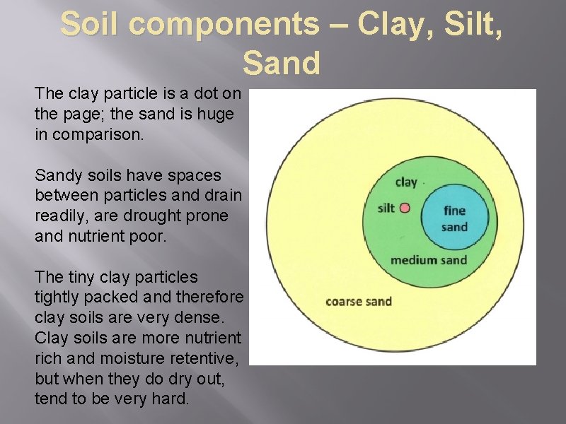 Soil components – Clay, Silt, Sand The clay particle is a dot on the