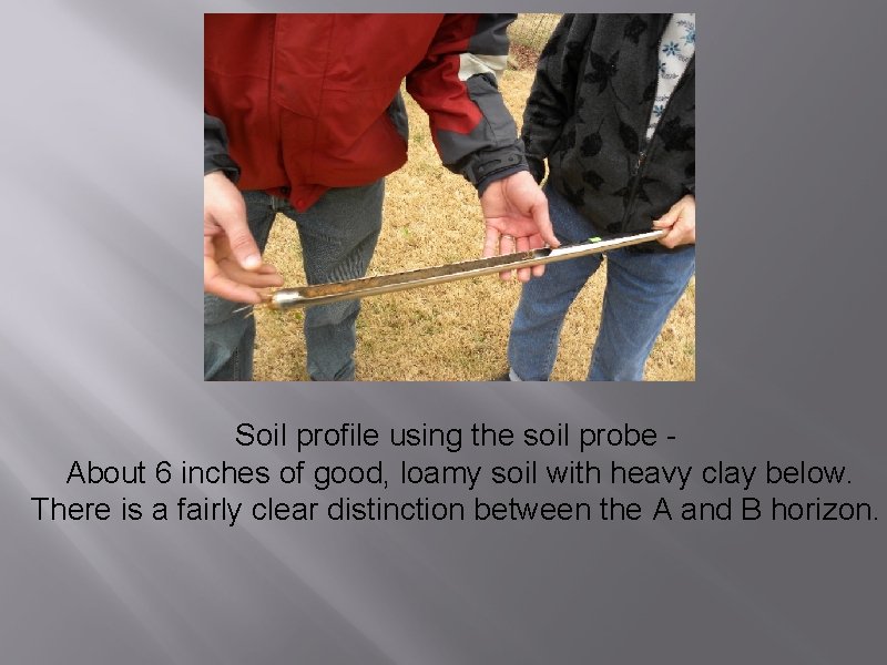 Soil profile using the soil probe - About 6 inches of good, loamy soil