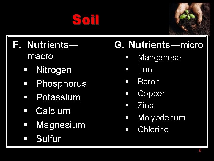 Soil F. Nutrients— macro § Nitrogen § Phosphorus § Potassium § Calcium § Magnesium