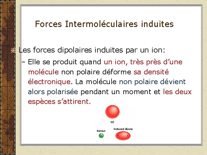 Forces Intermoléculaires induites Les forces dipolaires induites par un ion: – Elle se produit