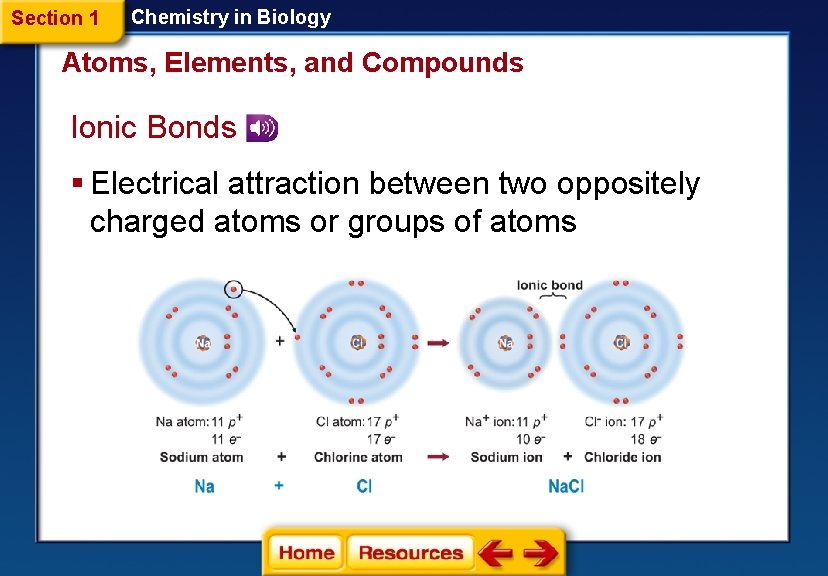 Section 1 Chemistry in Biology Atoms, Elements, and Compounds Ionic Bonds § Electrical attraction