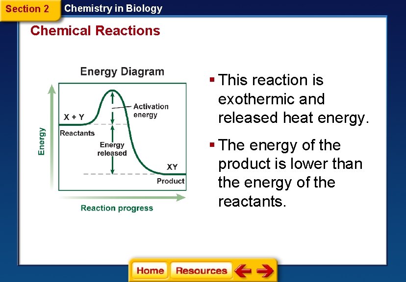 Section 2 Chemistry in Biology Chemical Reactions § This reaction is exothermic and released