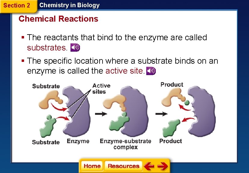 Section 2 Chemistry in Biology Chemical Reactions § The reactants that bind to the