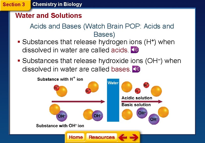 Section 3 Chemistry in Biology Water and Solutions Acids and Bases (Watch Brain POP:
