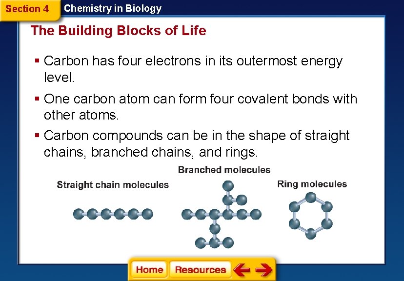 Section 4 Chemistry in Biology The Building Blocks of Life § Carbon has four