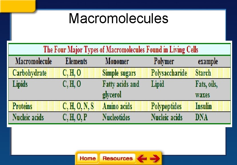 Macromolecules 
