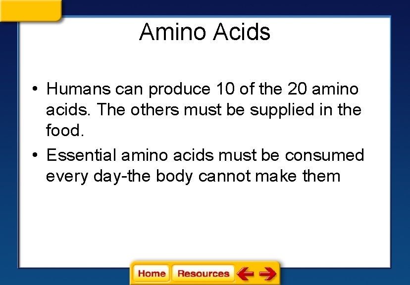 Amino Acids • Humans can produce 10 of the 20 amino acids. The others