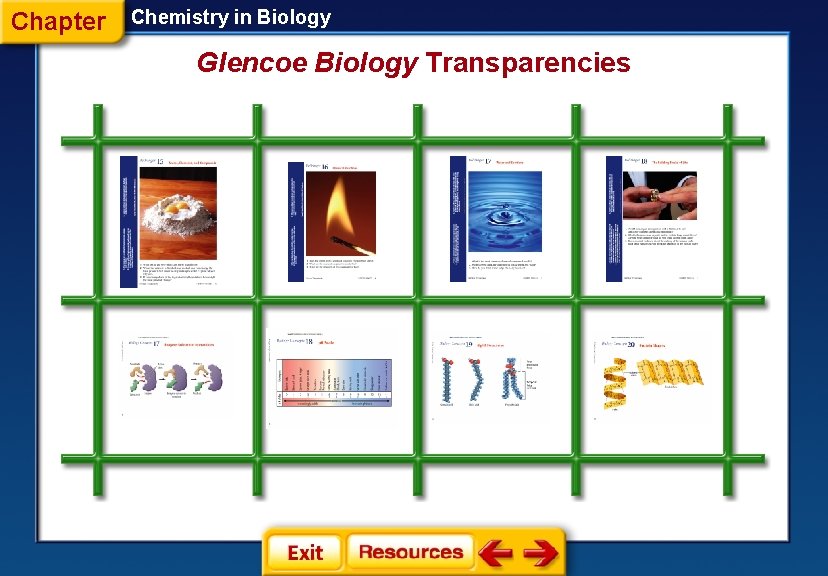 Chapter Chemistry in Biology Glencoe Biology Transparencies 