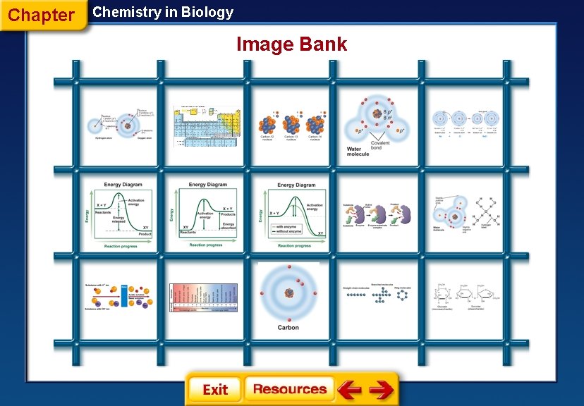 Chapter Chemistry in Biology Image Bank 