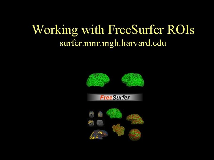 Working with Free. Surfer ROIs surfer. nmr. mgh. harvard. edu 